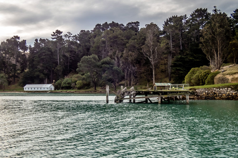 New Zealand